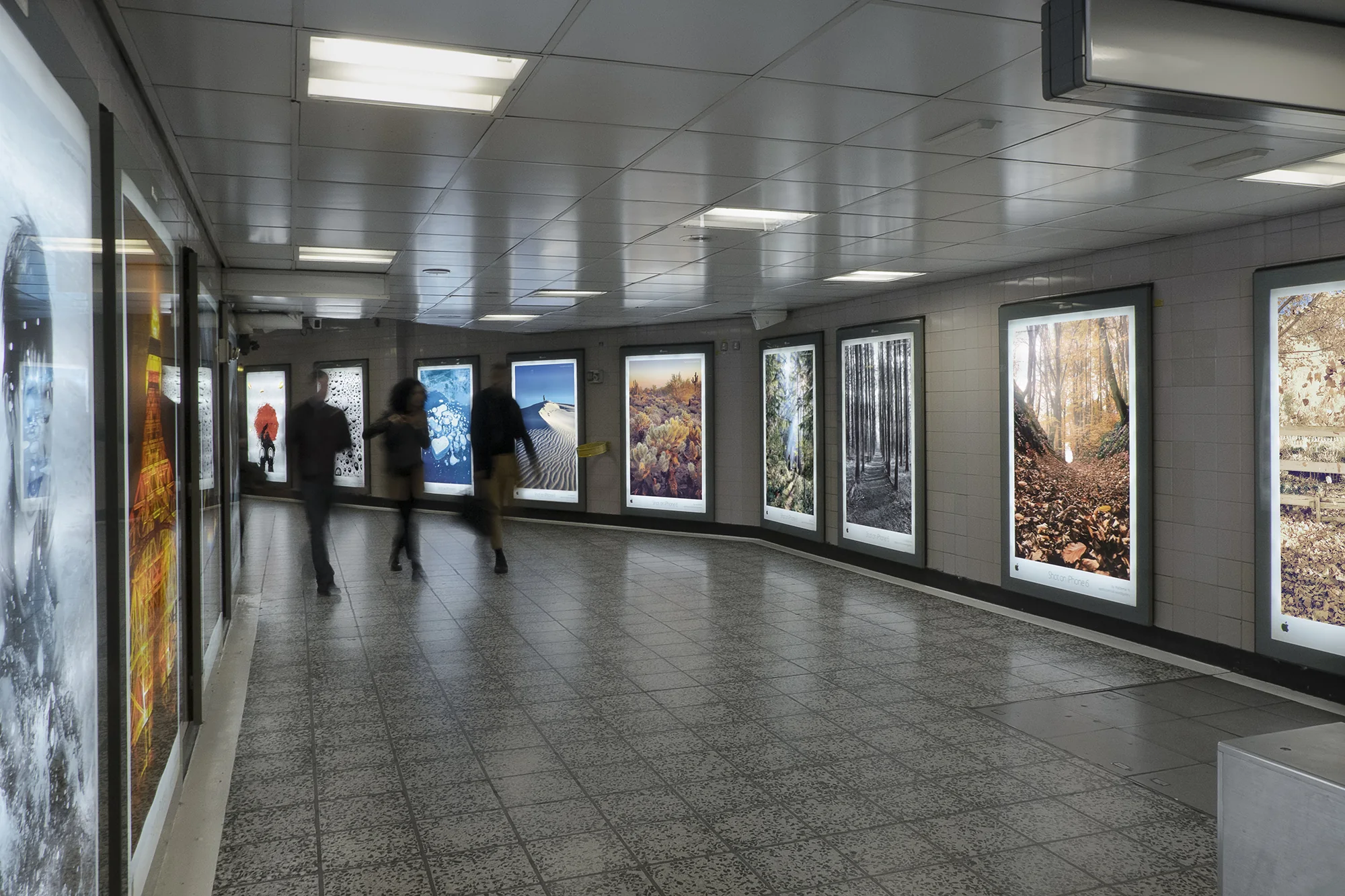 A London street lined with tall Shot on iPhone portrait photographs