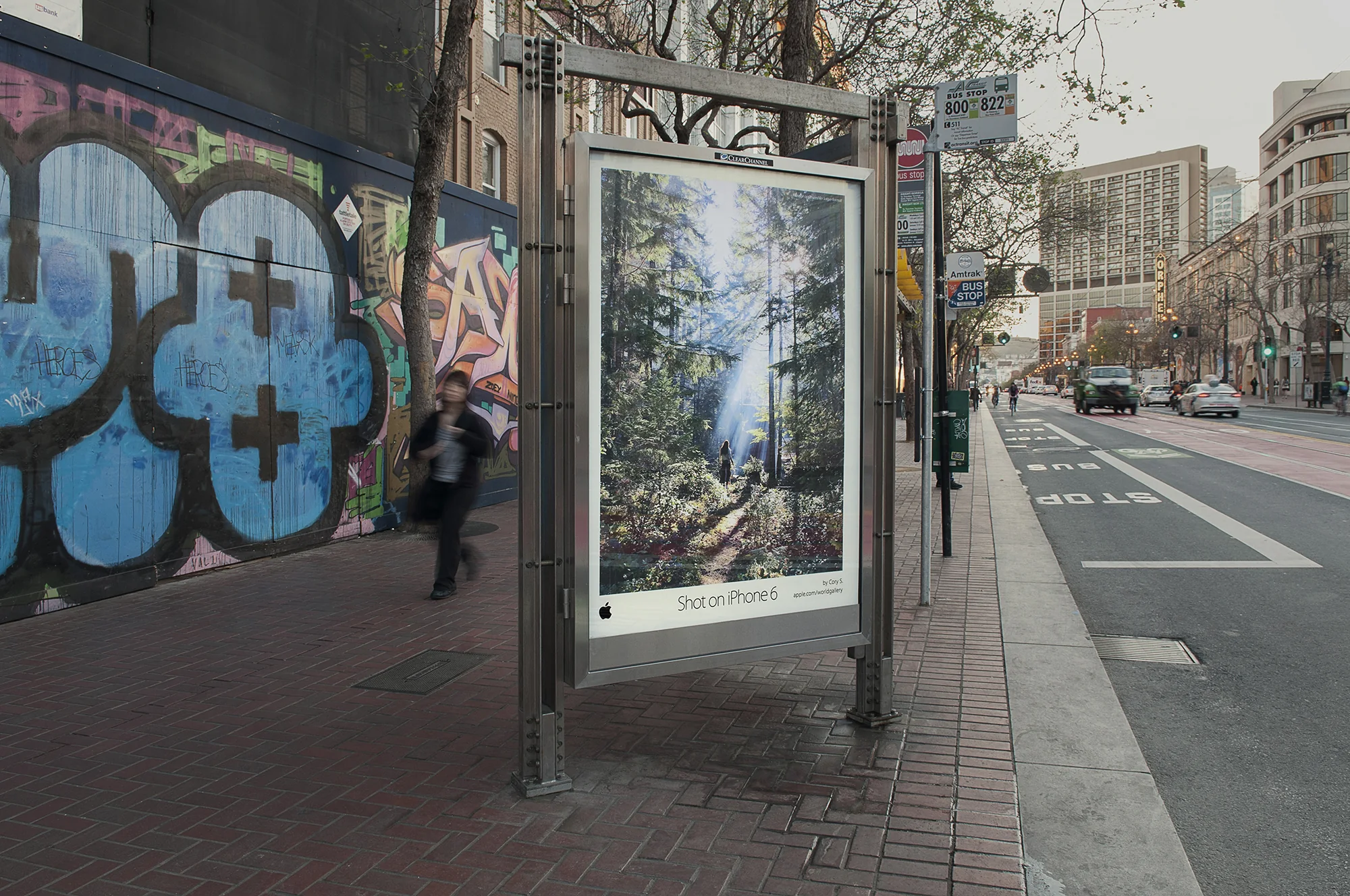 A forest photograph by Cory Staudacher displayed in a San Francisco bus shelter