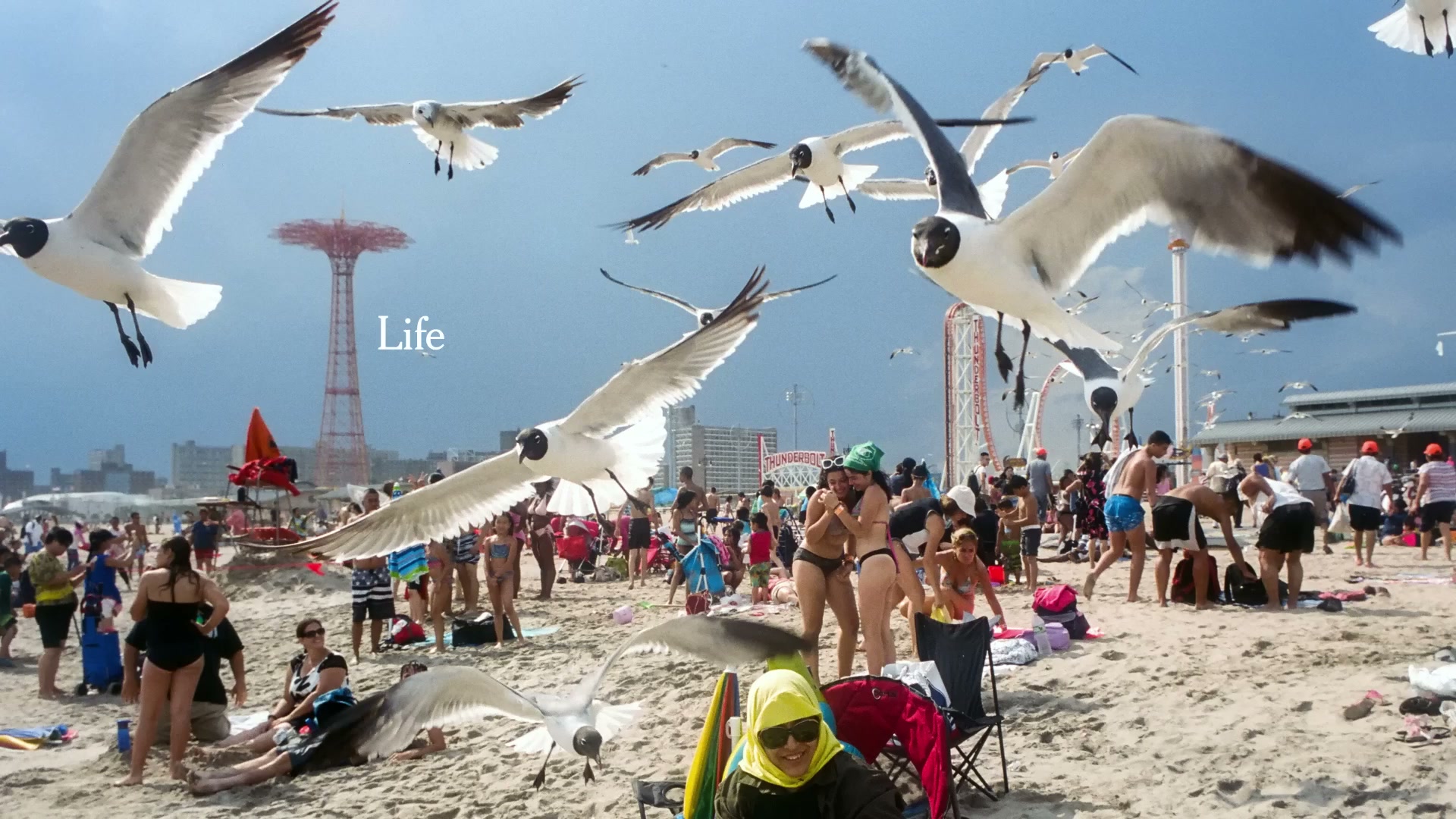 Life Needs Truth — The New York Times